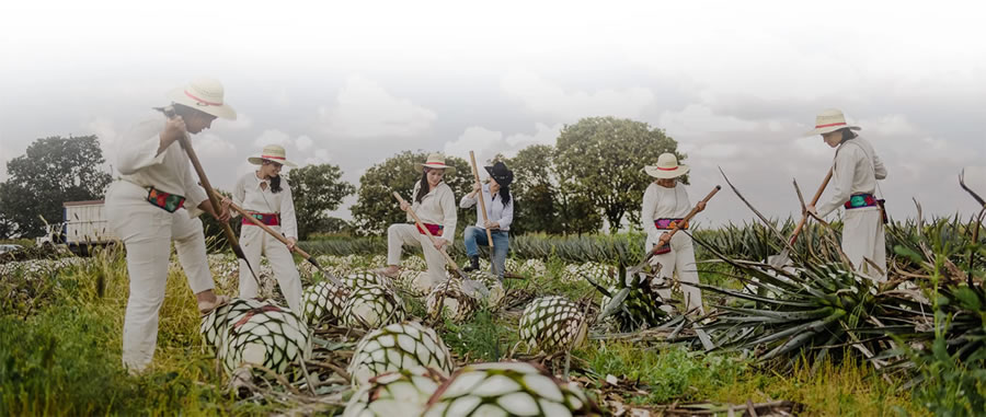Tequila Leyenda