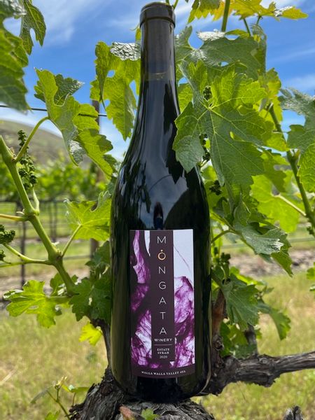 2020 Estate Syrah